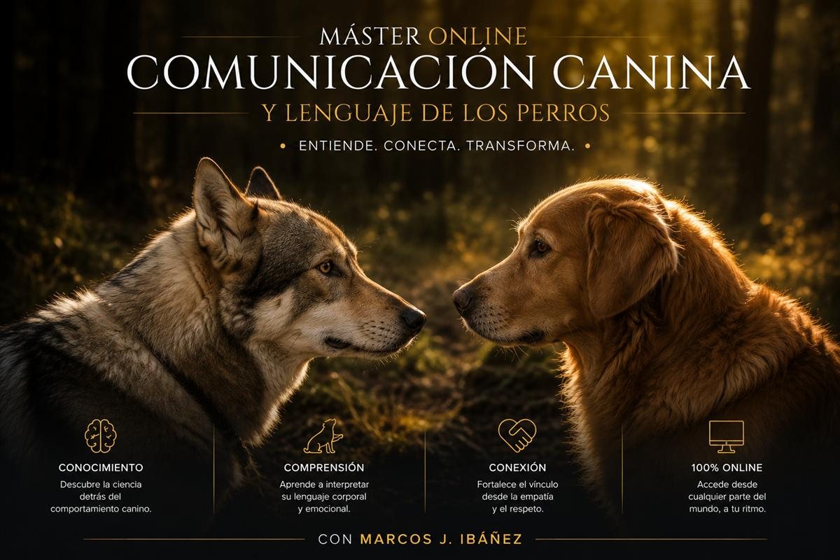 Formación sobre comunicación canina dentro de TAKODA Academy.